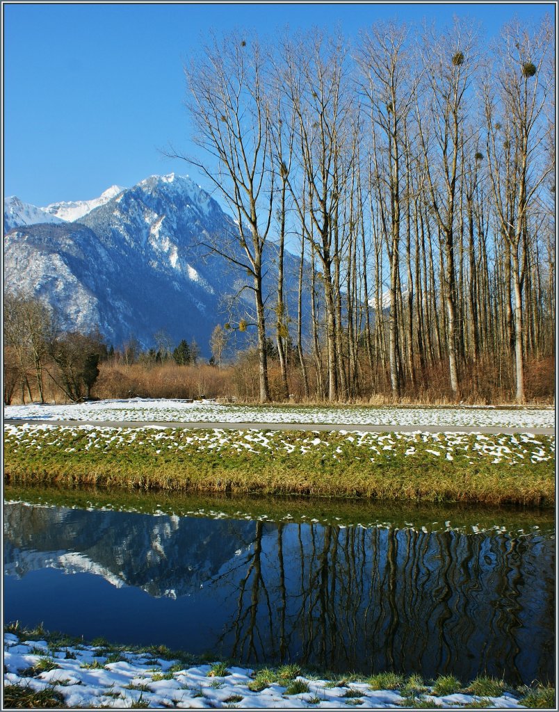 Am Grand Canal beim Naturschutzgebiet Les Grangettes.
(17.02.2013)