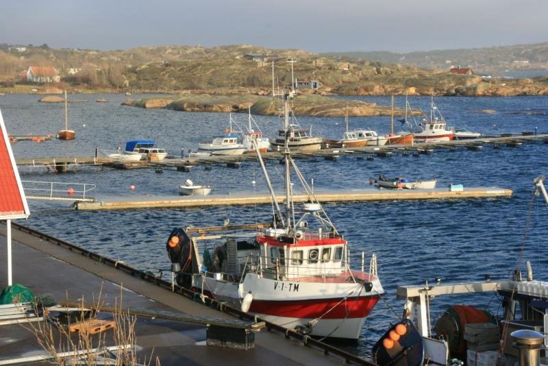 Am Hafen von Verdens Ende; 15.11.2009