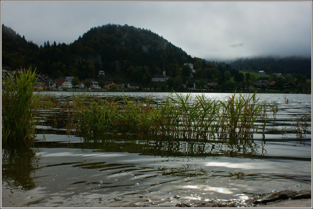 Am Lac de Joux, in Le Pont. 
(11.10.2012)