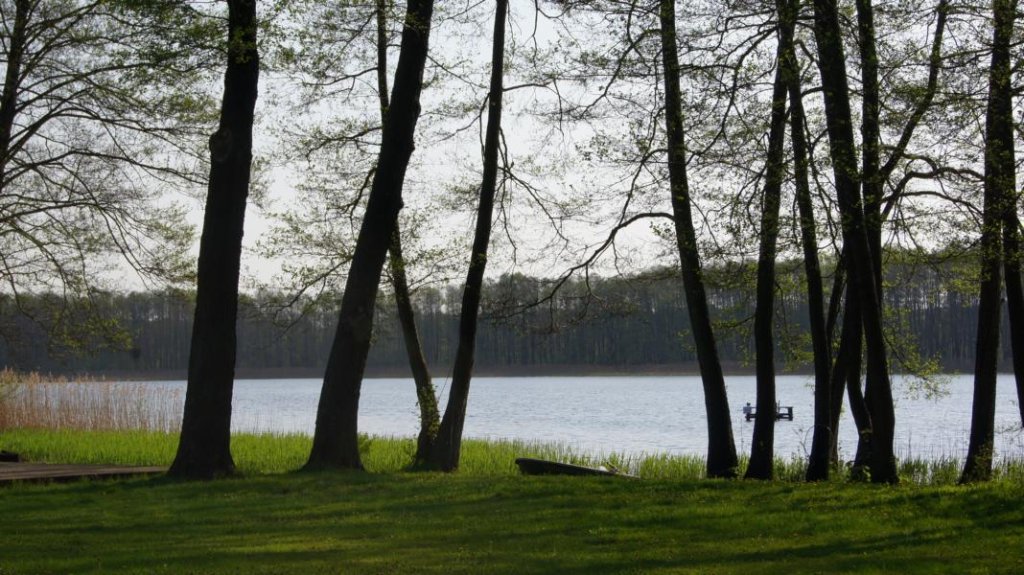 Am Parsteinsee, Parstein bei Angermnde. Aufgenommen 01.05.12.