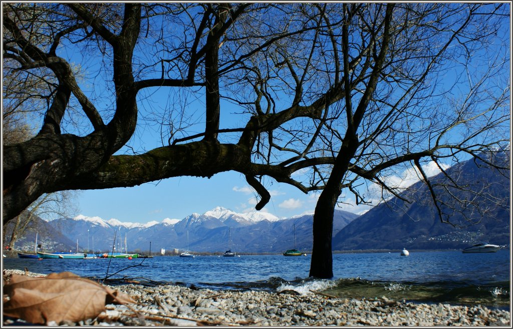 Am Ufer des Lago Maggiore bei Locarno.
(20.03.2011)