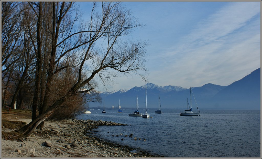 Am Ufer des Lago Maggiore.
(23.01.2012)