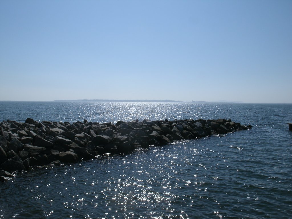 Am Wieker Bodden am 05.Mai 2013.