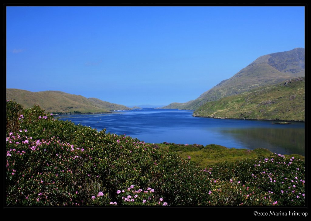 An Caolire Rua - Killary Harbour - Connemara Fjord, Irland County Galway