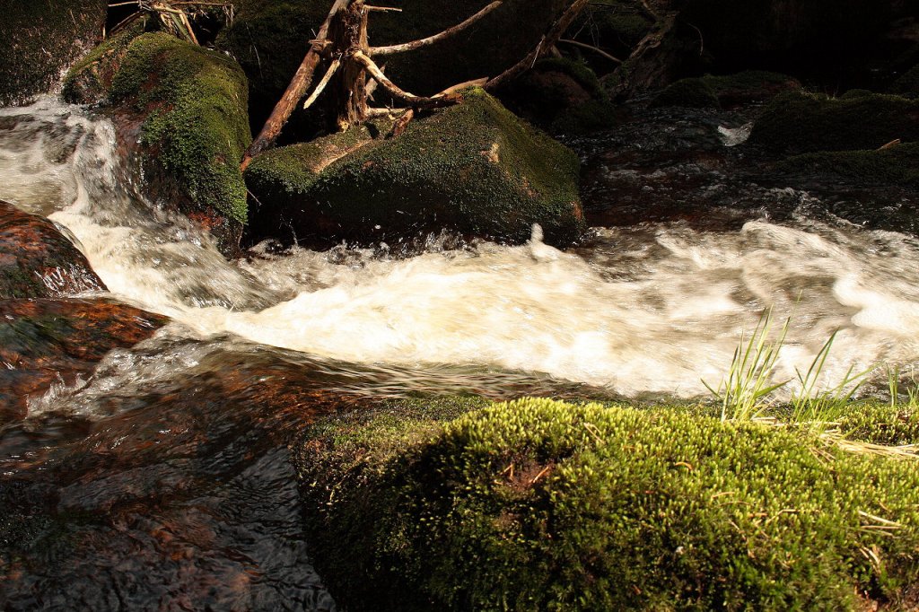 An den Oberen Wasserfllen der Groen Bode bei Braunlage 3; Aufnahme vom Nachmittag des 03.05.2013...