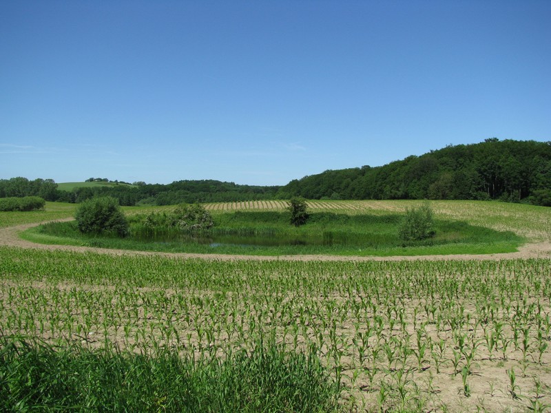 An Strae Kchelstorf-Gro Hundorf (NWM) konnte ich das Soll ablichten, Gro Hundorf 16.06.2010 (8830)