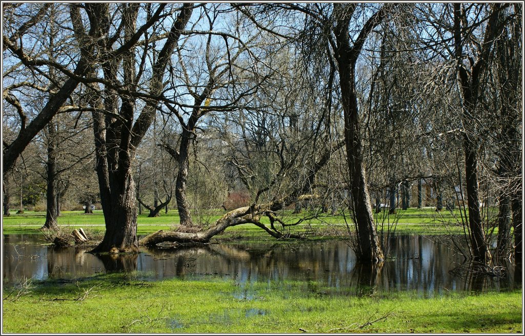 Anfang Mai hat es nach der Schneeschmelze noch viel Wasser im Park von Parn.
(02.05.2012)