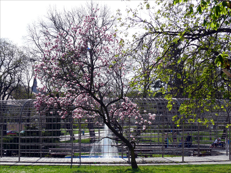 Auch am Sdhang des Erzgebirges kehrt nach dem langen Winter jetzt endlich der Frhling ein; Teplice (Bad Teplitz in Bhmen), 18.04.2010
