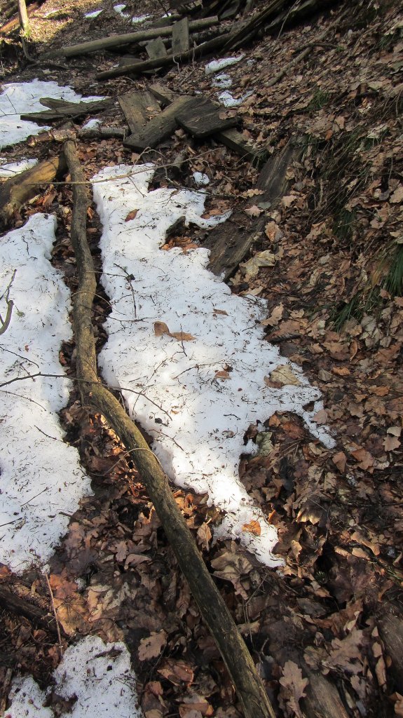 Auch hier wird der letzte Schnee nun bald verschwunden sein! Brixlegg, am 9.3.2012.