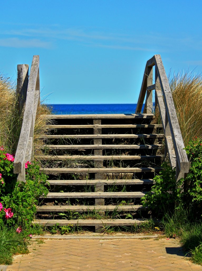 Auf dem Weg von der Steinwarder Promenade ber den Deich zum Strand mu man in Heiligenhafen ber diese Holztreppen steigen. Die befestigten Wege sind wichtig fr den Deichschutz, man wrde sonst die empfindliche Vegetation zerstren die den Deich vor der Erosion schtzt. 06.06.2013