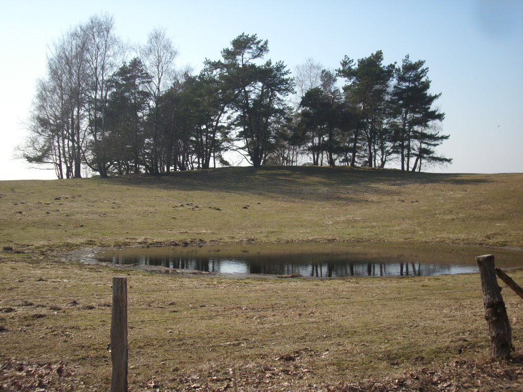 Auf einem Feld auf Rgen.