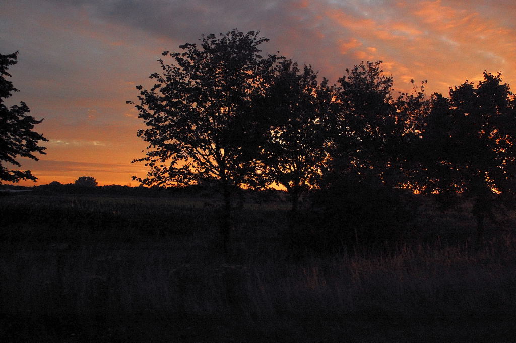 Auf einer Tagestour nach Breskens konnte ich unweit von Turnhout diesen Sonnenaufgang aus dem fahrenden Auto fotografieren.....21.7.2012
