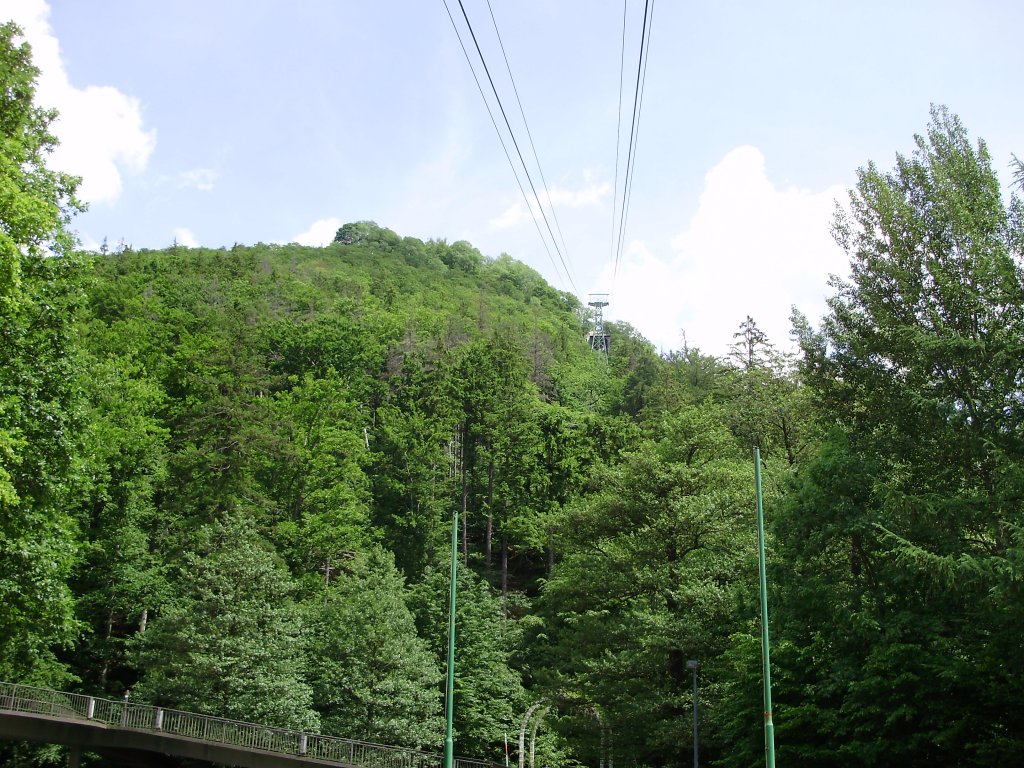 aufgenommen am 08.06.10

von der talstation der schwebebahn
hin auf auf den burgberg in 
bad harzburg