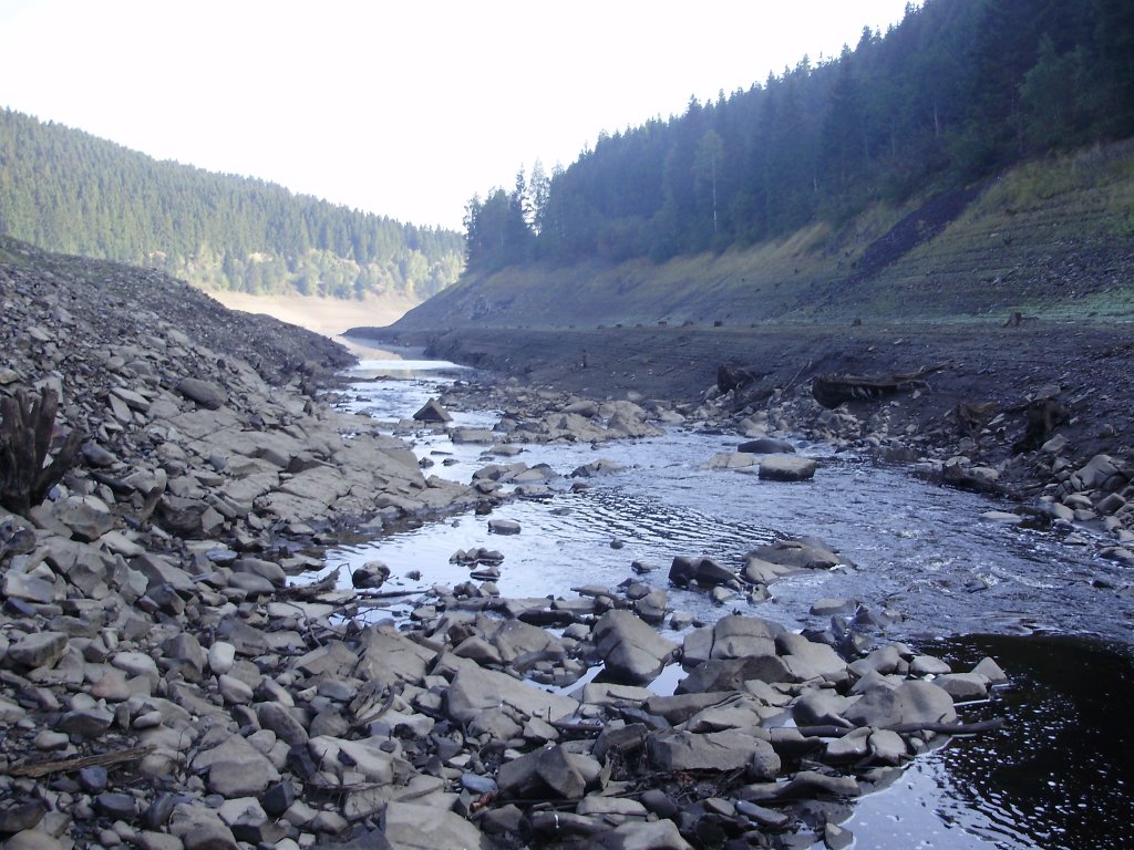 aufgenommen an der vorsperre der okertalsperre bei altenau
foto entstand im okerstausee drinne
bild zeigt das flubett der oker
