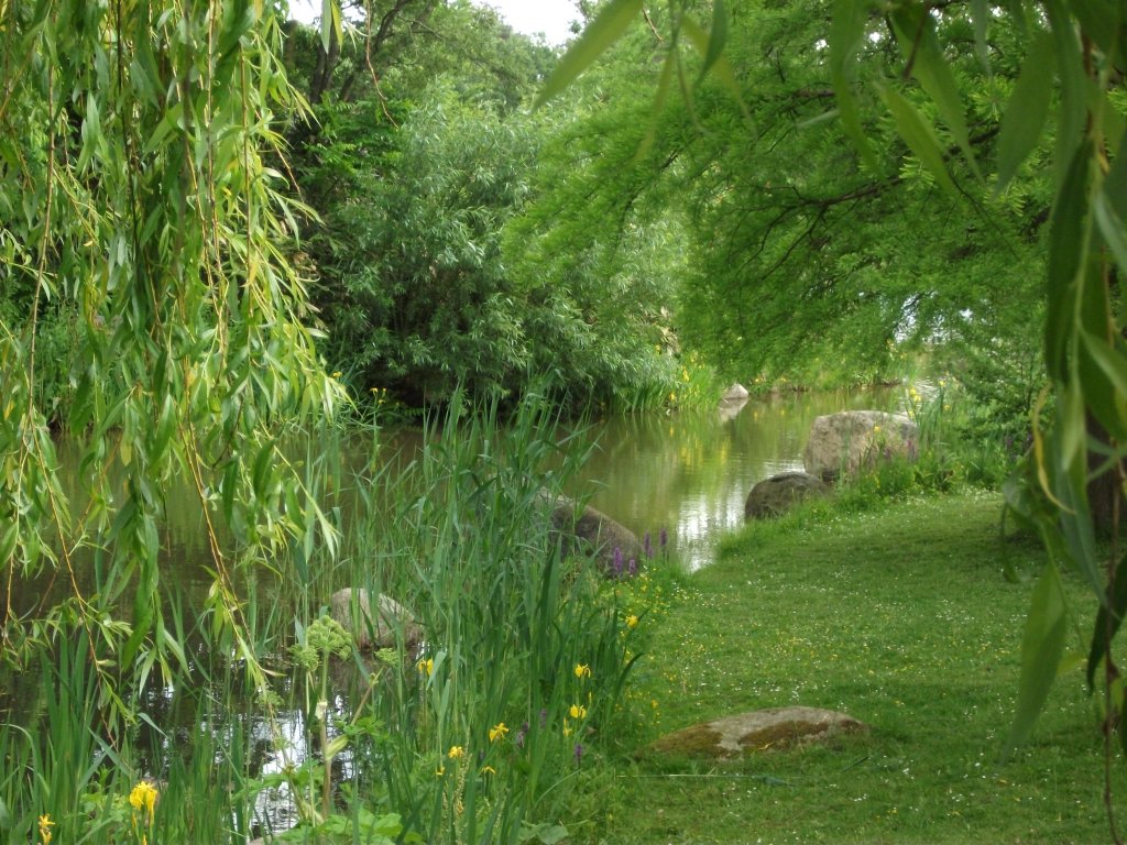 Aufnahme im Botanischen Garten in Hamburg-Klein Flottbek. Foto eines knstlichen Wasserlaufs. Aufgenommen am 03.06.2012