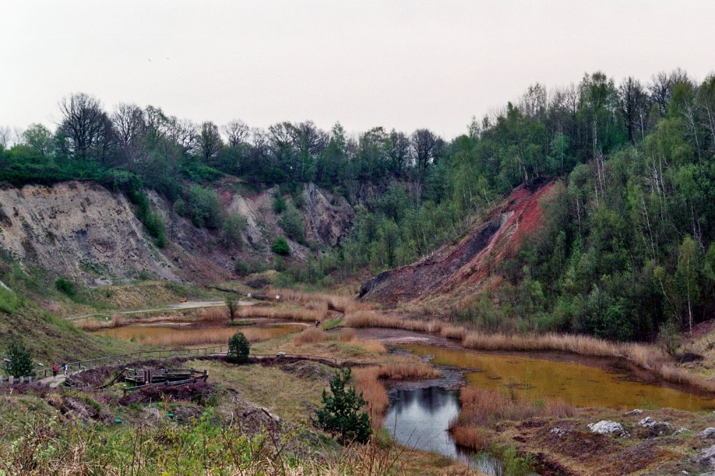 Aufnahme der Liether Kalkgrube bei Elmshorn im Kreis Pinneberg.Aufgenommen am 03.06.2012.