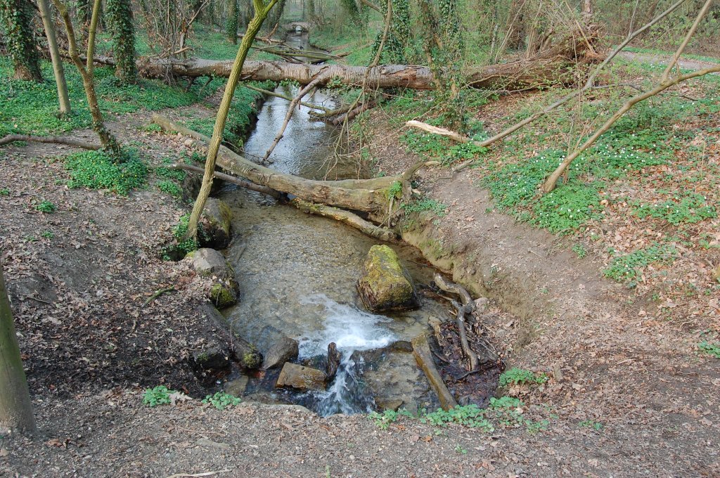 Aus dieser Quelle smpft Rheinbraun. Der Trietbach wird hier mit Wasser aus dem Tagebau Garzweiler II gespeist um den Bruchwald zu erhalten.
