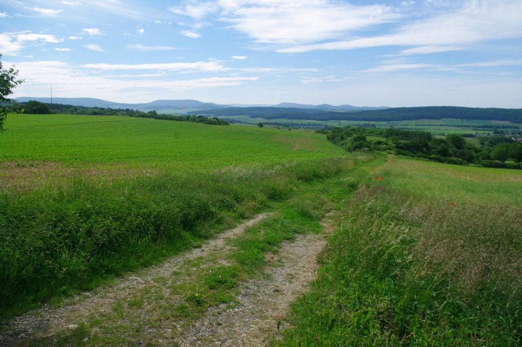 Ausblick auf die Rhn bei Mansbach (15.06.2012)