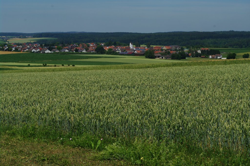 Ausblick auf Setzingen im Alb Donau Kreis (28.06.2011)