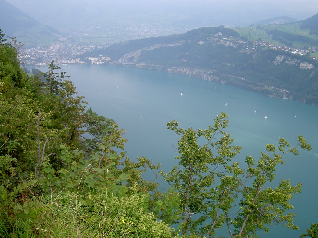 Ausblick auf den Vierwaldsttter See von Seelisberg (05.09.2010)