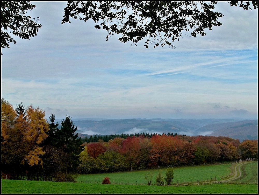 Aussicht in Heiderscheid ber die herbstliche Landschaft. 01.11.2010 (Jeanny)