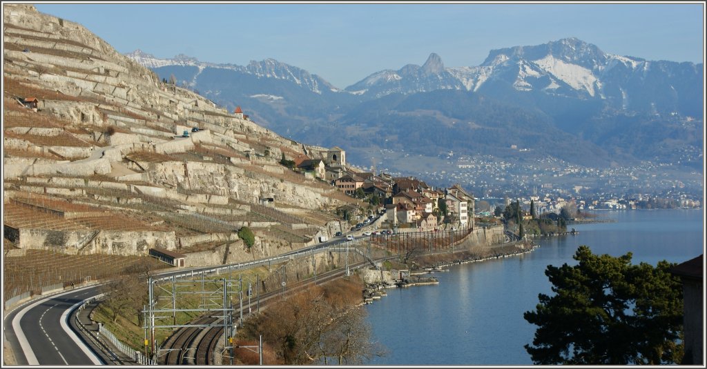 Aussicht von Rivaz auf St.Saphorin und den Rochers-de-Naye.
(08.02.2011)