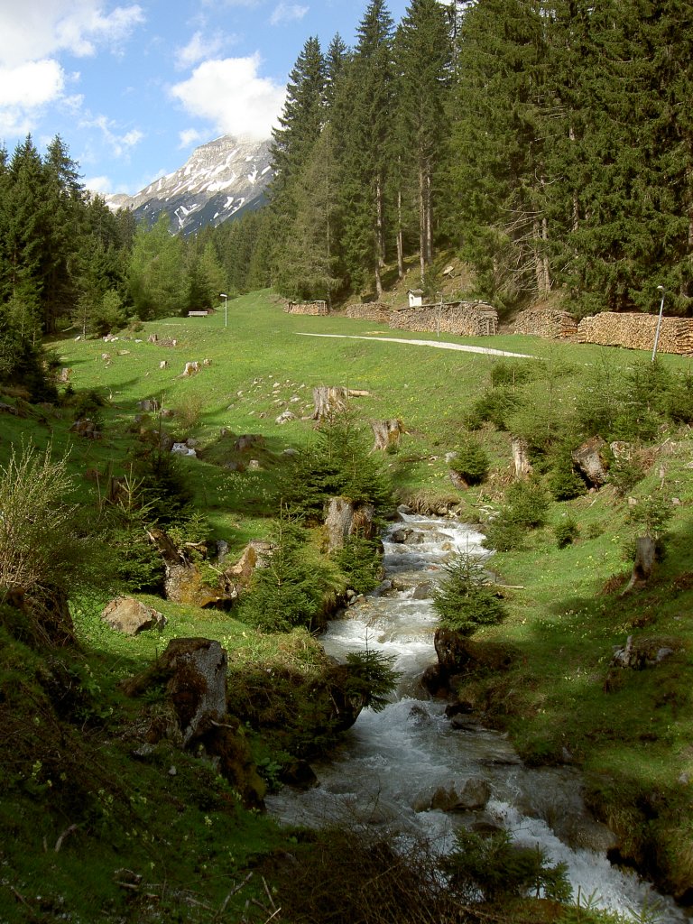 Bach bei Mhlbachl im Wipptal (09.05.2013)