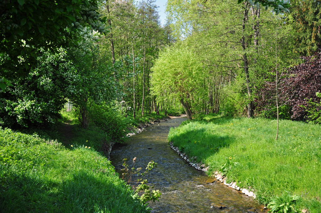 Bachlauf der Erft im Frhlingsgrn bei Euskirchen - 18.04.2011