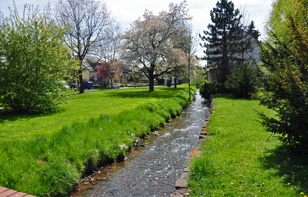 Bachlauf im Frhling - Euskichen-Kuchenheim 22.04.2010