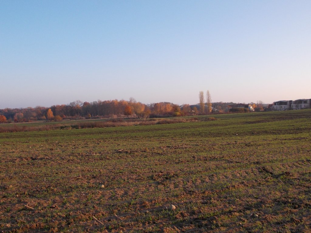 Bad Belzig 14.11.12 der Blick in Richtung Steintherme