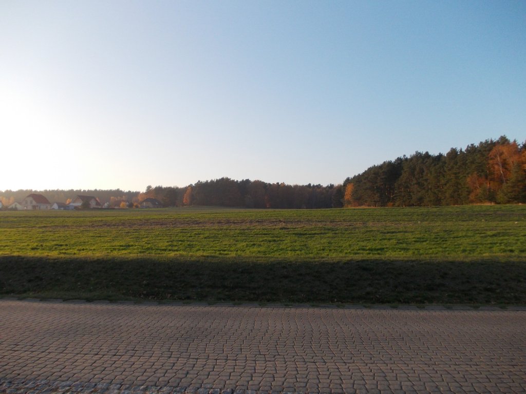 Bad Belzig 14.11.12 der Blick von der Rosa-Luxemburg-Strae in Richtung Lrchenweg