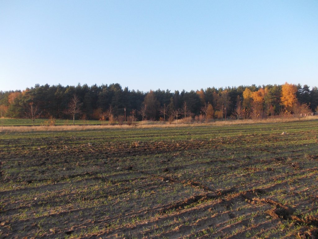 Bad Belzig 14.11.12 der Blick ber das Feld an der Rosa-Luxemburg-Strae