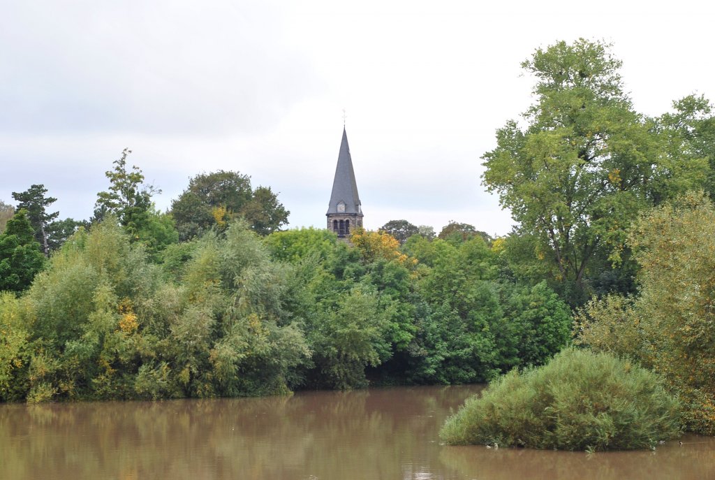 Bume an der Leine. Im Hintergrund ist der Turn einer Kirche zu sehen. Foto vom 28.09.10.