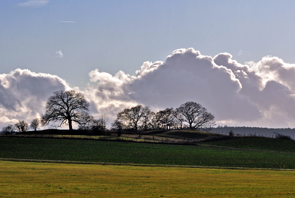 Bume - Wolken - ber der Eifel bei Eu-Kirchheim - 05.12.2011