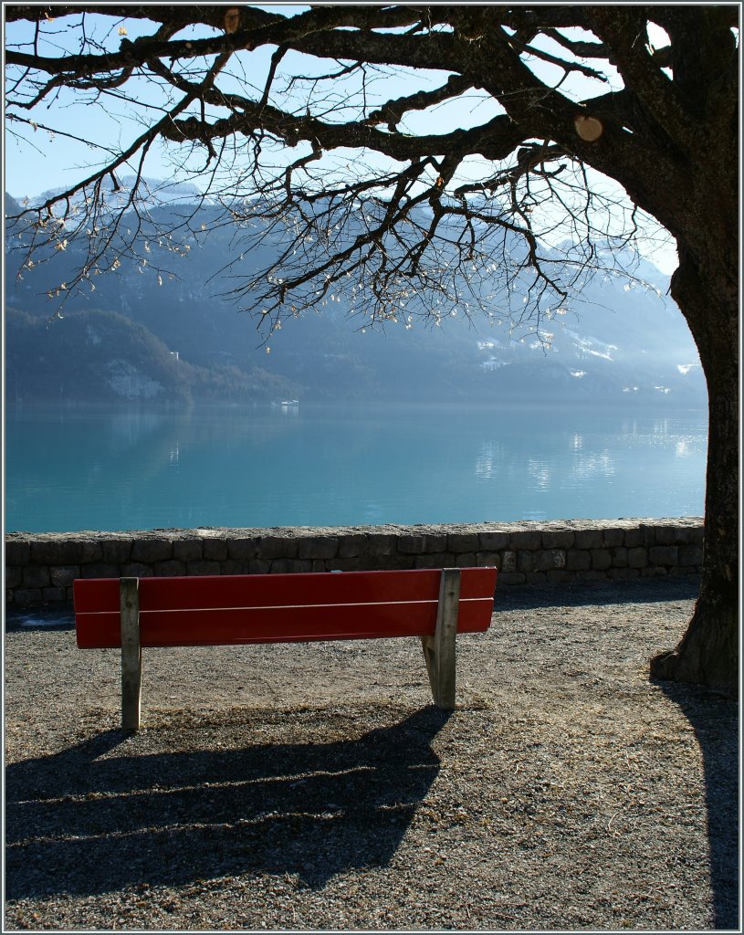 Banken eine Schweizer Spezialitt - doch wer auf diese Bank verweilt, wird ganz sicher nicht betrogen...
Brienz, den 9. Feb 2011