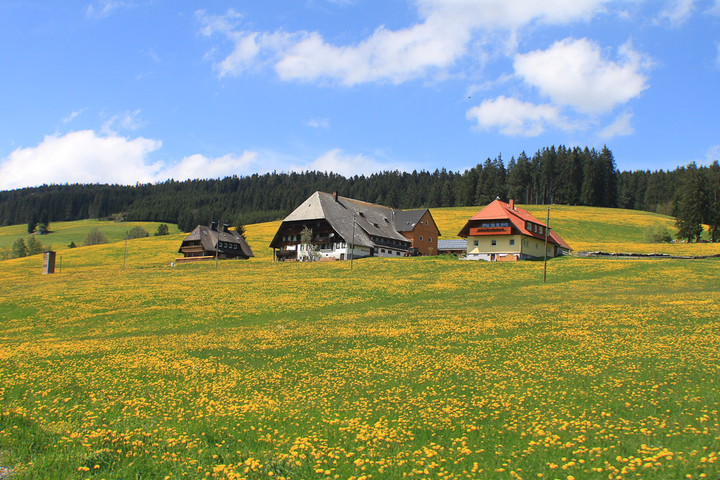 Bauernhof mit Fremdenzimmer bei Titisee-Neustadt am 14.05.2013 um 13:46 beim vorbeifahren mit dem Zpfle-Bhnle(Titisee-Rundfahrt) entdeckt und fotografiert.