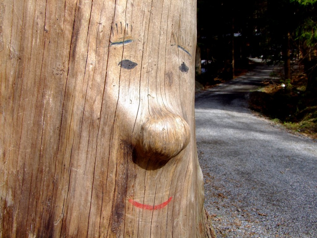 Baumgesicht an einem alten abgestorbenen Baum, wacht ber die Wege im Nationalparkzentrum Lusen im Bayerischen Wald;120327