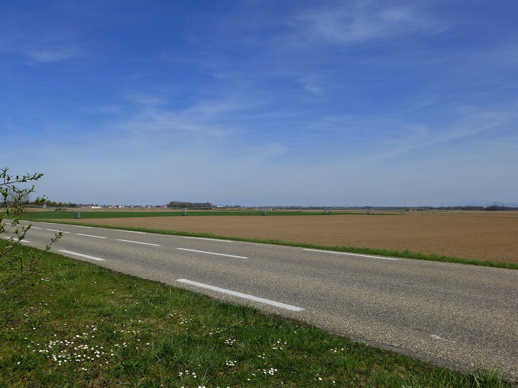 bei Bantzenheim im Sdelsa, hier sieht man deutlich, warum die Rheinebene diese Bezeichnung trgt, April 2013