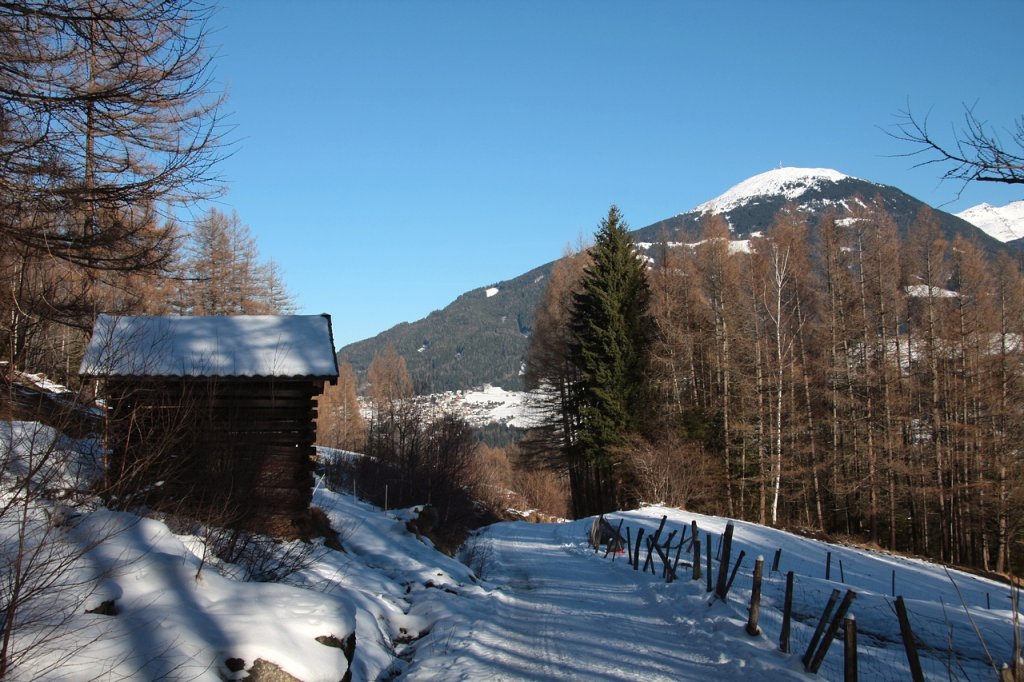 Bei Telfes in den Telfer Wiesen am 05.01.2011.