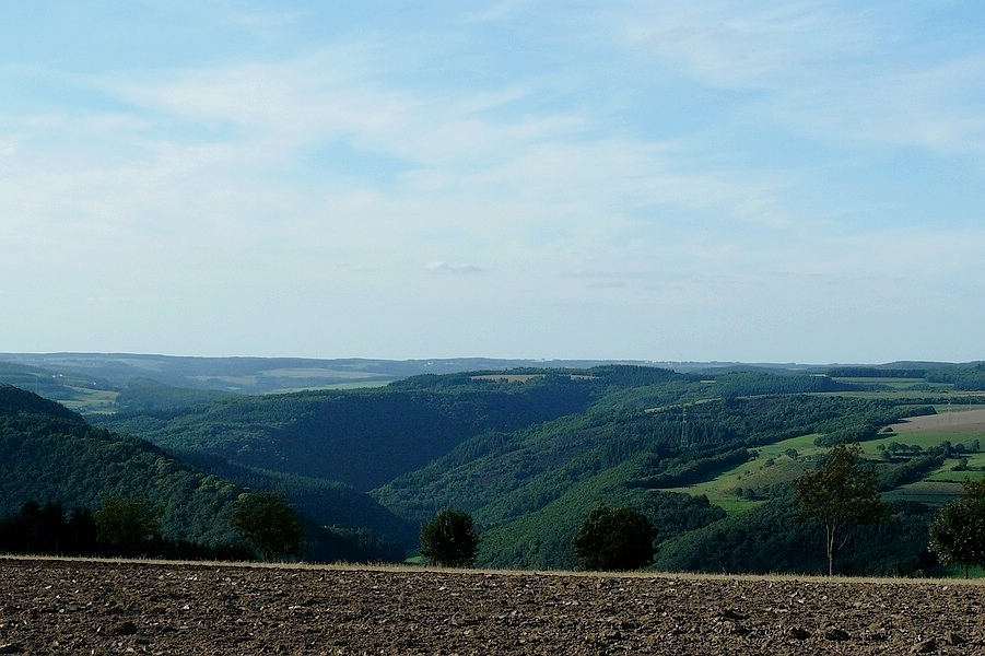 Berge und Tler im Norden von Luxemburg, aufgenommen in der nhe von Bourscheid. 20.08.2010