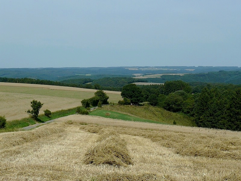 Berge und Tler im Norden von Luxemburg, aufgenommen bei Eschdorf. 10.08.2010