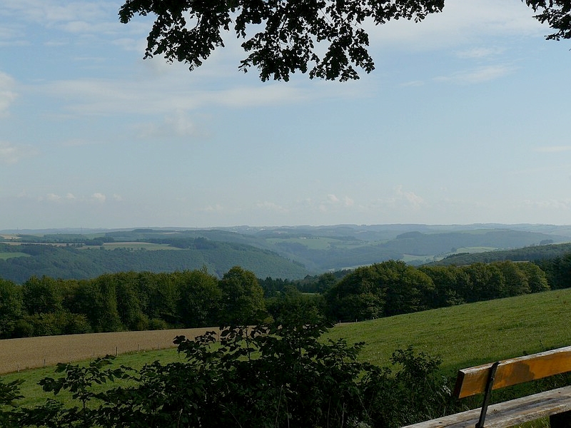 Berge und Tler im Norden von Luxemburg, aufgenommen in der nhe von Heiderscheid. 13.08.2010
