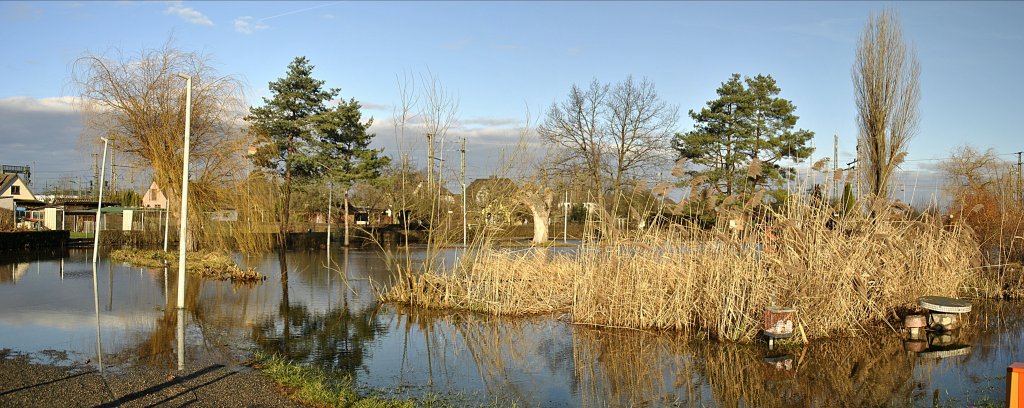 berschemmter Teich, in der Gartenkoline  Edelweis  in Lehrte am 16.01.2011.