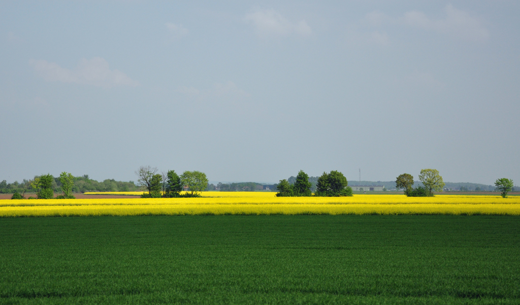 Blau-Gelb-Grn - die Farben des Frhlings - Euskirchen 28.04.2011