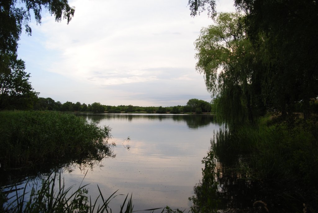 Blauer See im Lehrte, am 12.07.10.