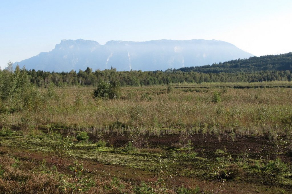 Blick vom Ainringer-Moos gegen Untersberg  20.9.2012