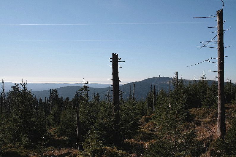 Blick am Morgen des 15.10.2011 von der Brockenstrae ber den Brockenurwald zum Wurmberg, dem Sdharz und zu Berglandschaften in Thringen, die aus einem Nebelmeer herausragen.