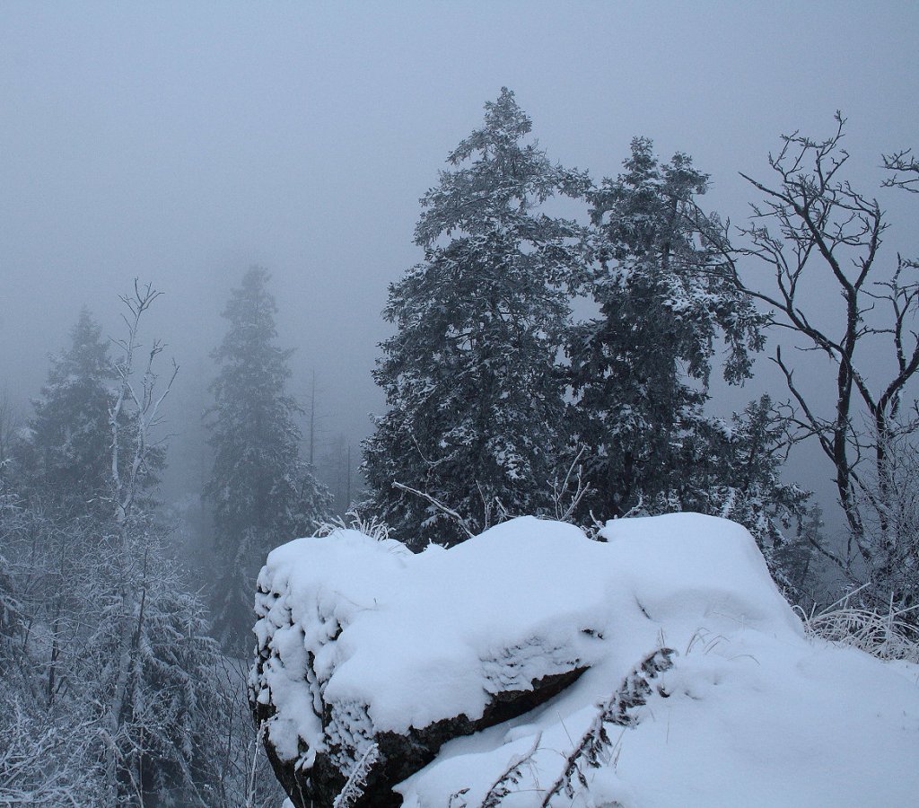 Blick am spten Vormittag des 02.12.2012 von den Hahnenkleeklippen hinunter Richtung Odertal, das in dichtem Nebel liegt. Vom Rehberg gegenber ist nichts zu sehen...