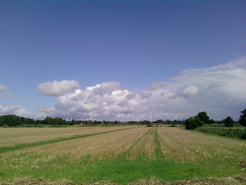 Blick auf die Ackerfelder von Stillhorn (Hamburg-Wilhemsburg),im Hinter-
grund eine mchtige  Wolkenwand .
