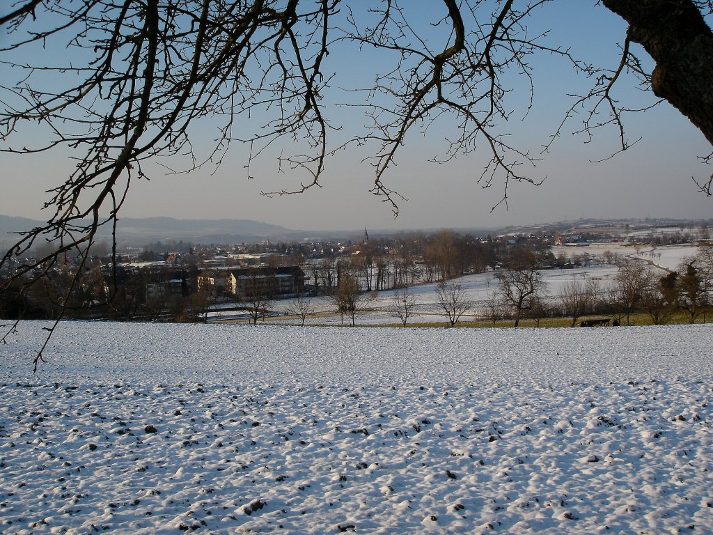 Blick auf Buchheim in der Rheinebene, im Hintergrund links der Kaiserstuhl, Feb.2008